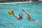 WWPolo vs CC  Wheaton College Women’s Water Polo compete in their sports inaugural match vs Connecticut College. - Photo By: KEITH NORDSTROM : Wheaton, water polo, inaugural